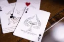 Fig. 25 Playing Cards by Cosmo Solano and Printed at US Playing Cards – Bild 5