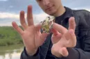 Puzzle Ring Size 12 (Gimmick and Online Instructions) – Bild 2