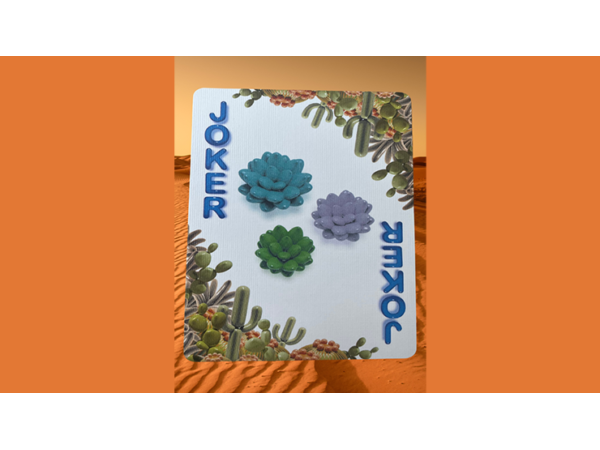 Bicycle Balloon Desert (Stripper) Playing Cards