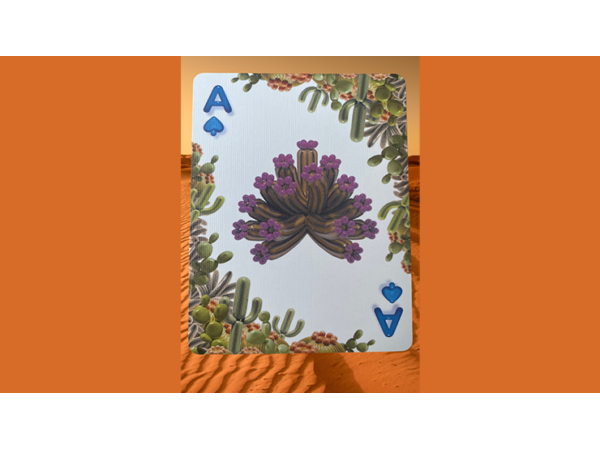 Bicycle Balloon Desert (Stripper) Playing Cards