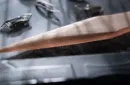 MAGNETIC BILLET KNIFE (Letter Opener) by Murphys Magic – Bild 6