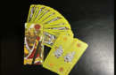 Httpswww magicshop chmediacatalogproductsisimple cardsbull go 4 png
