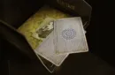 Heritage (Gimmicks and Online Instructions) by Gabriel Werlen & Marchand de trucs & Mindbox – Image 4