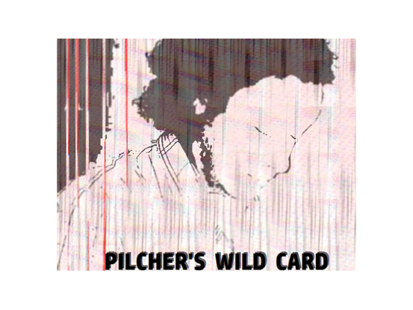 Pilcher's Wild Card by Matt Pilcher video DOWNLOAD