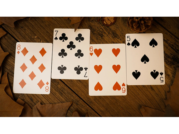 Forest elf Badger Playing Cards