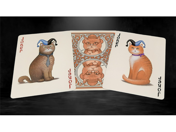 Bicycle Poker Cats V2  Playing Cards