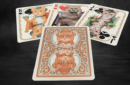 Httpswww magicshop chmediacatalogproductsisimple cardsbic pokercatsv2 2 png
