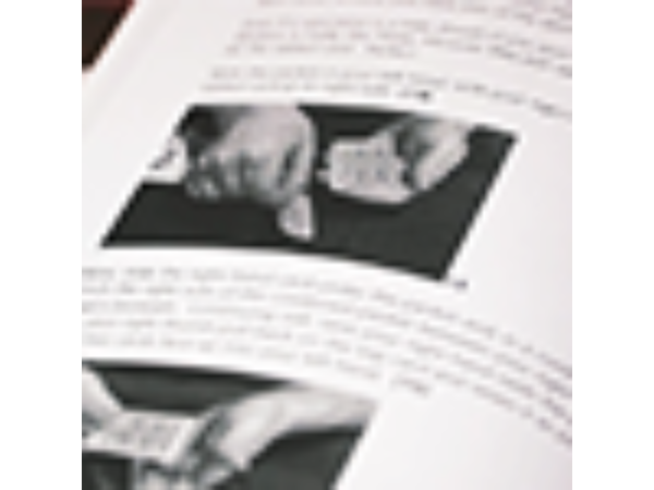 Queen Spirit by John Bannon - Book