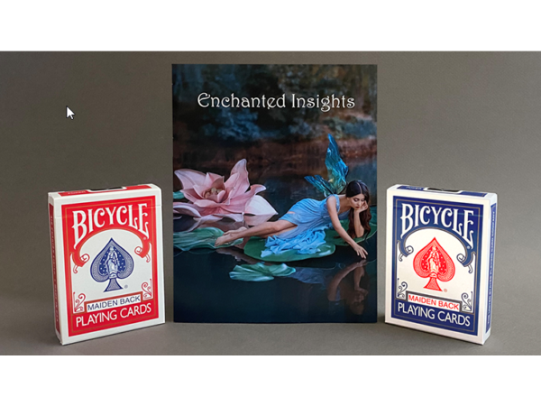 ENCHANTED INSIGHTS RED (German Instruction) by Magic Entertainment Solutions