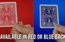 Digital (Red) by Abir and Mark Mason – Bild 2
