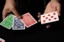 Cardboard Chameleons (Gimmicks and Online Instruction) by DARYL – Bild 6