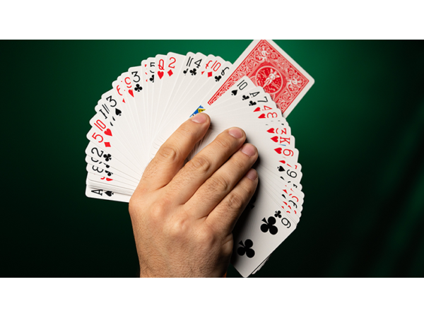 Fiedlers Flyer (With Online Instruction) by DARYL