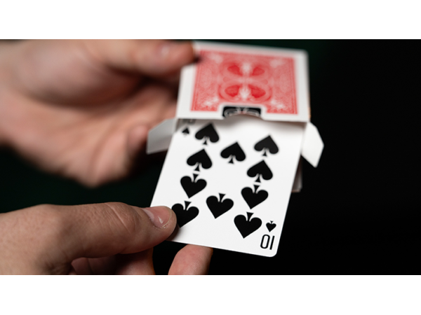 Fiedlers Flyer (With Online Instruction) by DARYL