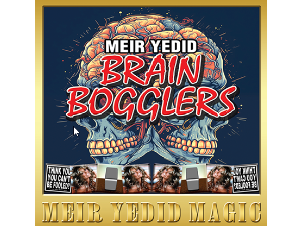 Brain Bogglers by Meir Yedid