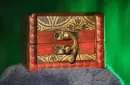 The Lucky Stone (Gimmicks and Online Instructions) by Luca Volpe and Alan Wong – Image 2