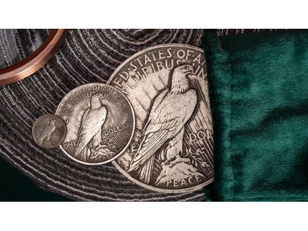 Jumbo Peace Dollar by N2G