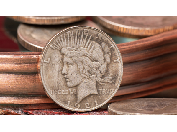 Mini Peace Dollar (Pack of 5 coins) by N2G