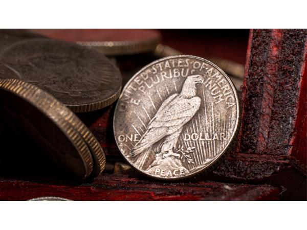 Mini Peace Dollar (Pack of 5 coins) by N2G