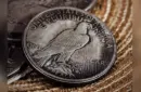 CS Peace Dollar (replicas) by N2G – Bild 3