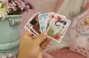 Limited Bicycle Psyche (Numbered Custom Seals) Playing Cards – Image 4