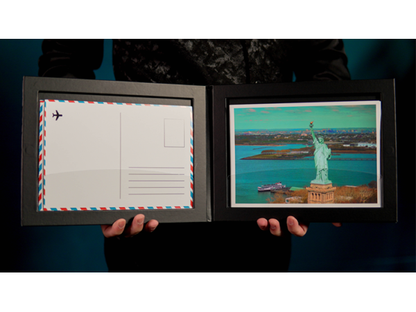 Jumbo Mind Entanglement by Hank and Joseph Lee