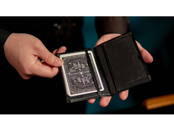 Mind Entanglement by Hank and Joseph Lee