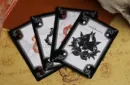 Plague Doctor (Blackout Plague) Playing Cards by Anti-Faro Cards – Image 5