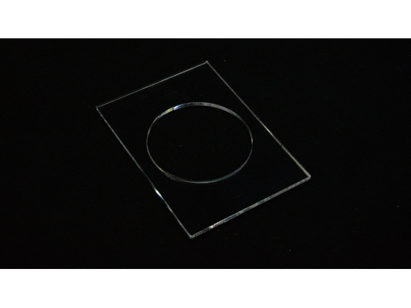 Carat CI1 Single Deck Coin Insert 51 diameter