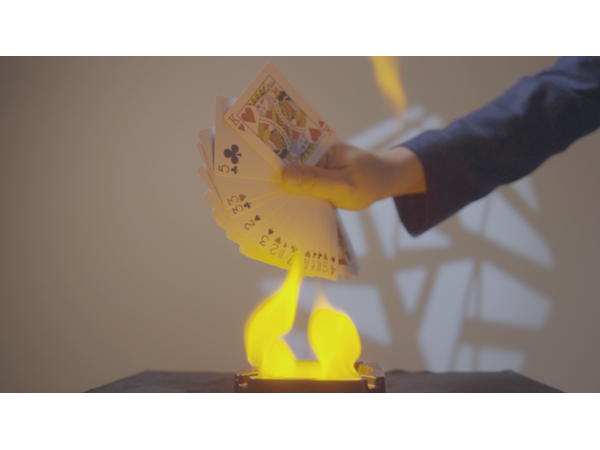 Inflamed by Bond Lee