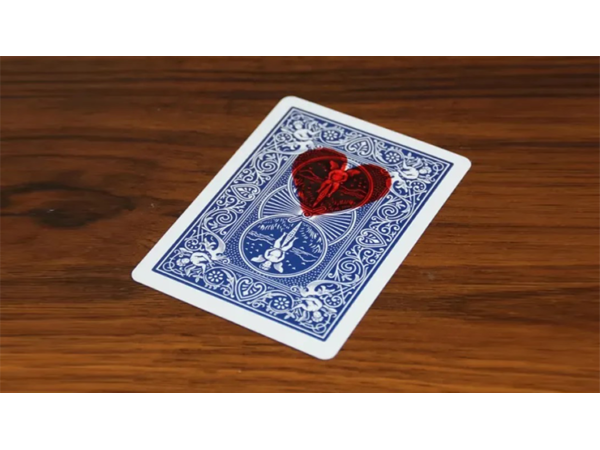 Love Transfer by N2G and WZ