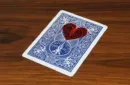 Love Transfer by N2G and WZ – Bild 2