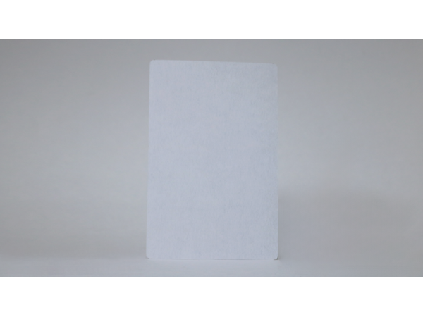 Bicycle Jumbo Double Blank