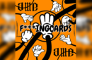 Httpswww magicshop chmediacatalogproductsisimple fingcards orgblk 2 png