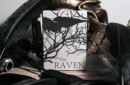 Httpswww magicshop chmediacatalogproductsisimple cardstheraven gld 1 png