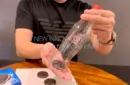 Cookie in Bottle by Taiwan Ben – Bild 3