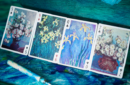 Httpswww magicshop chmediacatalogproductsisimple cardsmonet h 8 png