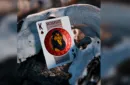 Bicycle Disney Lion King Playing Cards by US Playing Co – Bild 6