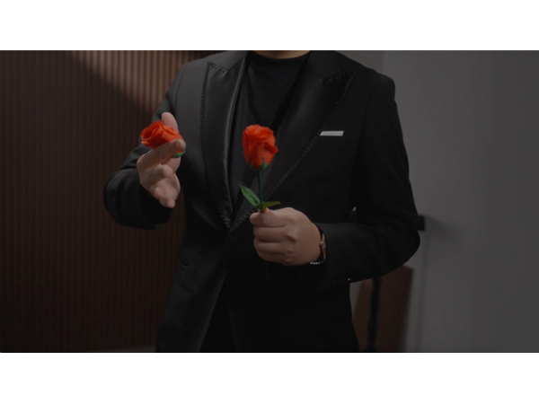 Eternal Rose by Bond Lee