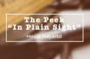 The Peek- In Plain Sight by Casper Ryan – Image 3