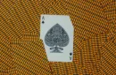 No Borders Thunderbolt Playing Cards by Joker and the Thief – Image 3