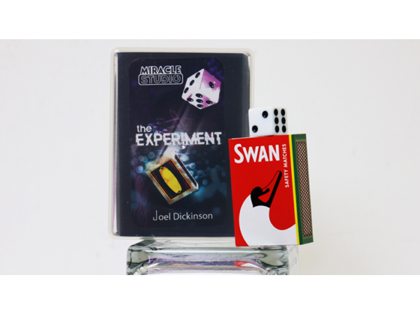 THE EXPERIMENT by Joel Dickinson