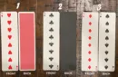 Long Card (Black) by Diamond Jim Tyler – Bild 2