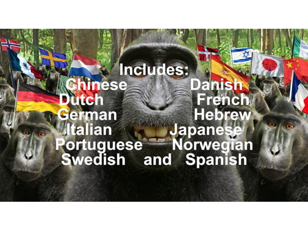 100th Monkey Multi-Language by Chris Philpott