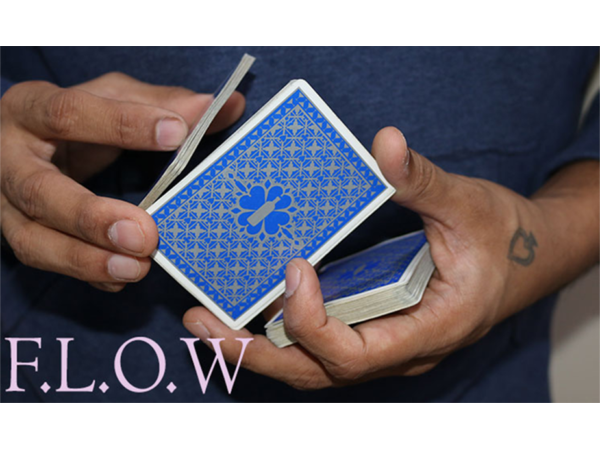 Magic Encarta Presents F.L.O.W by Vivek Singhi - Video DOWNLOAD