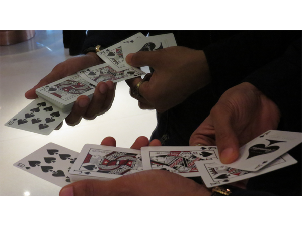 Magic Encarta Presents The Royal Flash by Vivek Singhi - Video DOWNLOAD