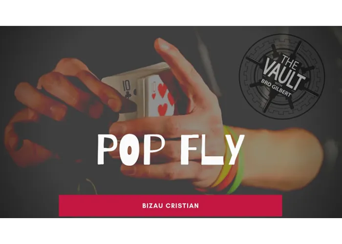 The Vault - Pop Fly by Bizau Cristian video DOWNLOAD