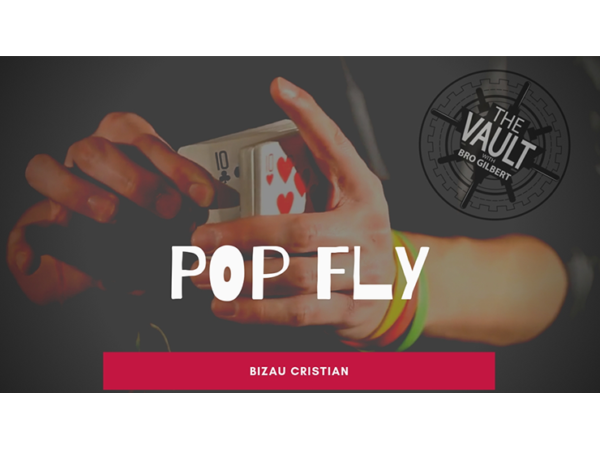 The Vault - Pop Fly by Bizau Cristian video DOWNLOAD