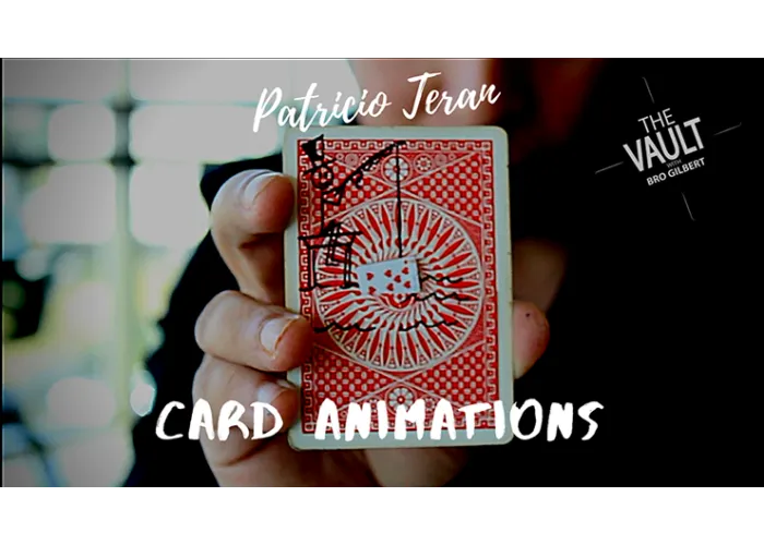 The Vault - Card Animations by Patricio Teran video DOWNLOAD