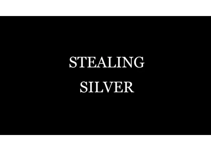 Stealing Silver by Damien Fisher video DOWNLOAD