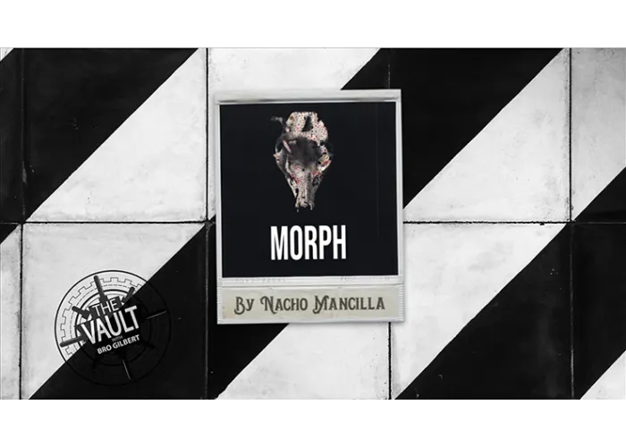 The Vault - MORPH by Nacho Mancilla Mixed Media DOWNLOAD